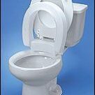 A toilet with the lid up and a seat in it.